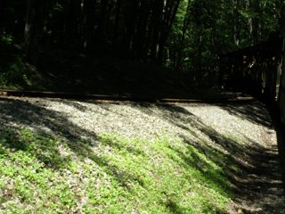P7150043.JPG