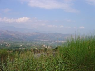 DSC00605.JPG