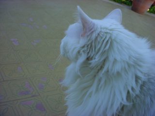 DSC00068.JPG