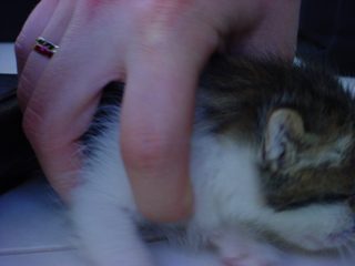 DSC00073.JPG