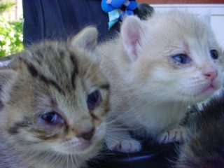 DSC00076.JPG
