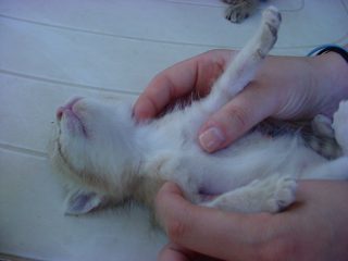 DSC00087.JPG