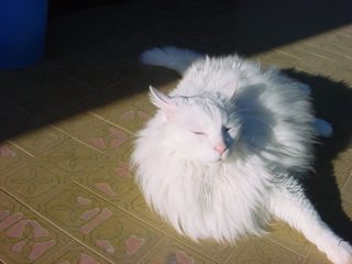 DSC00090.JPG