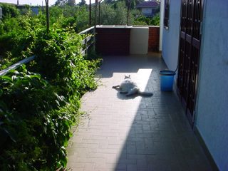 DSC00091.JPG