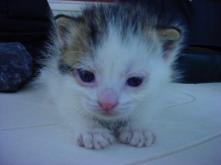 DSC00092.JPG