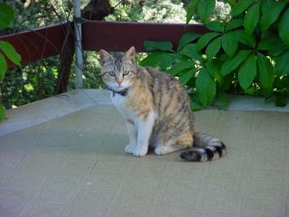DSC00097.JPG