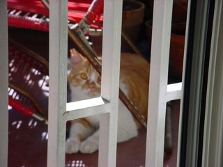 DSC00098.JPG