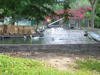 DSC01065.JPG