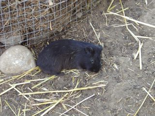 DSC01075.JPG