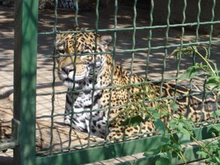 DSC01076.JPG
