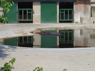 DSC01077.JPG