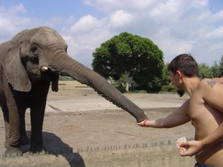 DSC01084.JPG