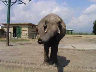 DSC01085.JPG