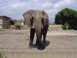 DSC01091.JPG