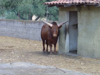 DSC01094.JPG
