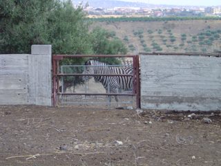 DSC01095.JPG
