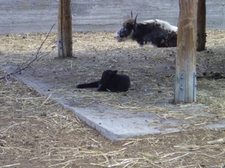DSC01096.JPG