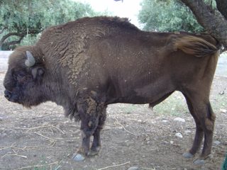 DSC01097.JPG