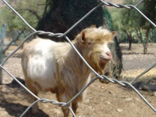 DSC01100.JPG