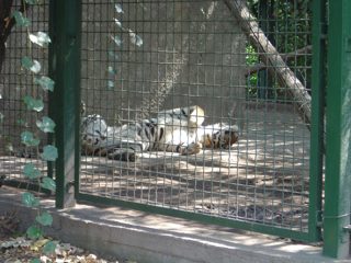 DSC01105.JPG