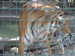 DSC01106.JPG