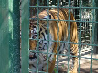 DSC01107.JPG