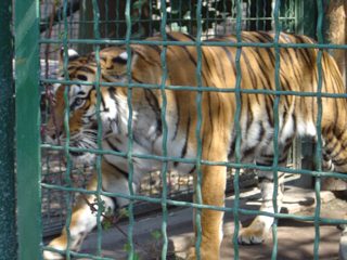 DSC01109.JPG