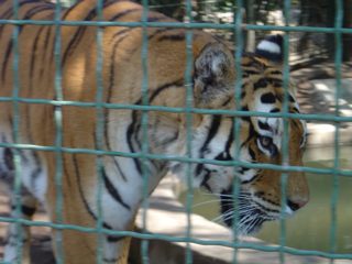DSC01110.JPG