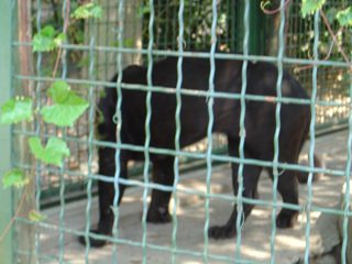 DSC01111.JPG