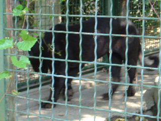 DSC01112.JPG
