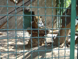 DSC01114.JPG