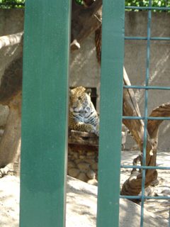 DSC01116.JPG