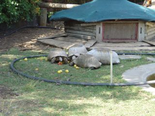DSC01117.JPG
