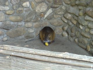 DSC01118.JPG