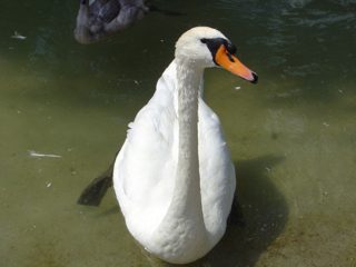 DSC01120.JPG
