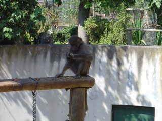 DSC01121.JPG