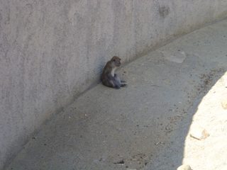 DSC01123.JPG