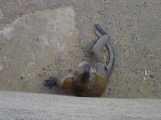 DSC01124.JPG