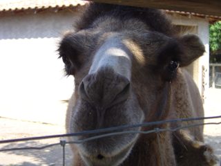 DSC01125.JPG