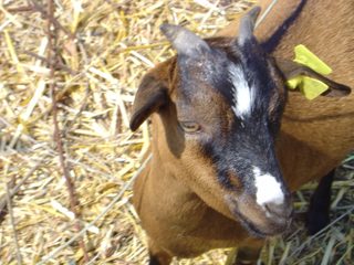 DSC01128.JPG