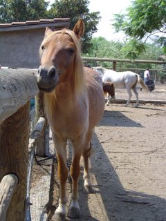 DSC01132.JPG