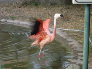 DSC01144.JPG