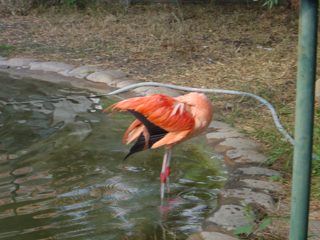 DSC01145.JPG