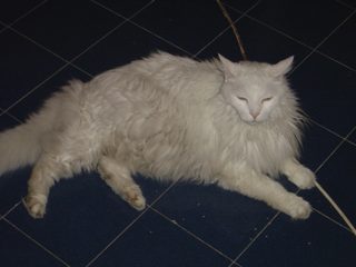 DSC00711.JPG