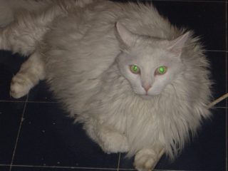 DSC00712.JPG