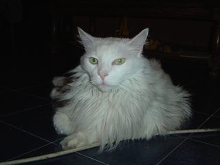 DSC00714.JPG