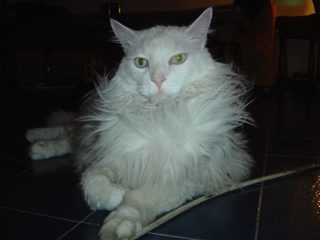 DSC00715.JPG