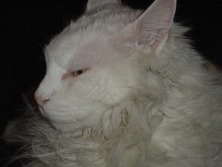 DSC00716.JPG