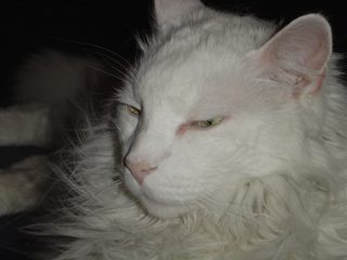 DSC00717.JPG