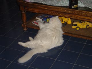 DSC00718.JPG